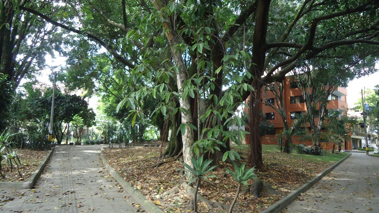 Iris Hostel Medellin Luaran gambar